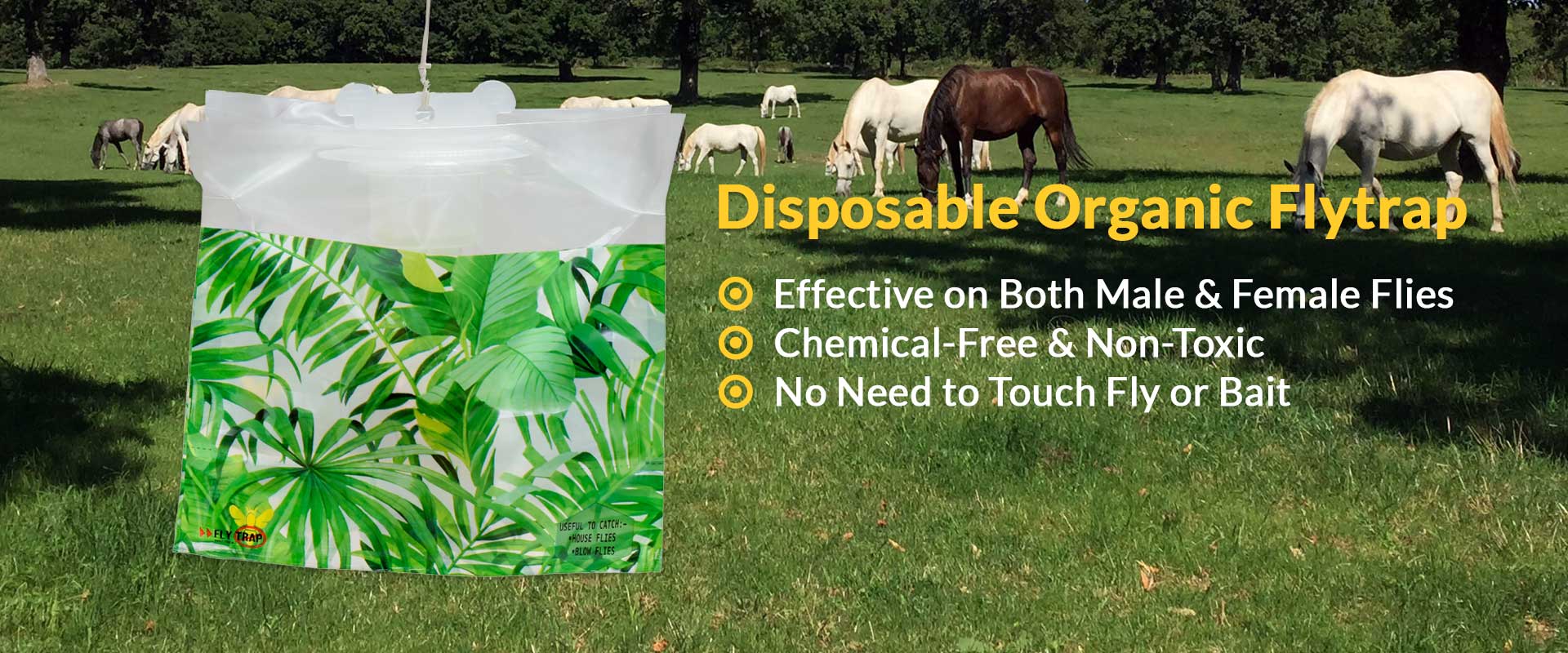 Disposable Fly Trap Manufacturers in Delhi