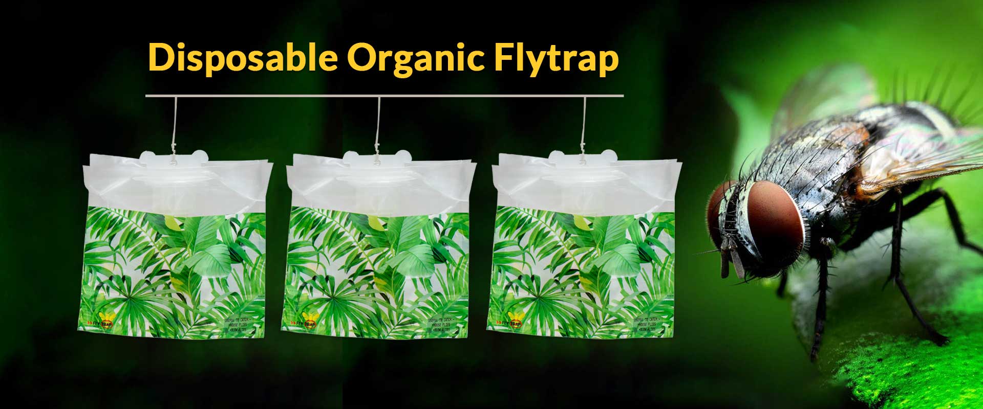 Disposable Organic Fly Trap Manufacturers in Delhi