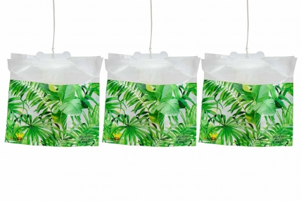 Disposable Fly Traps: The Most Advanced & Modernized Equipment for Catching Flies